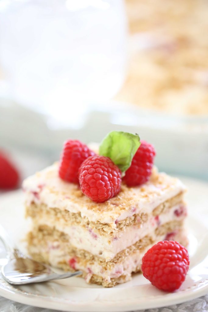 Square piece of homemade Raspberry Ice Cream Cake