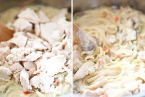 Tetrazzini Recipe