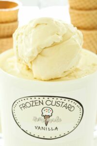 Scoop of Vanilla Custard Ice Cream