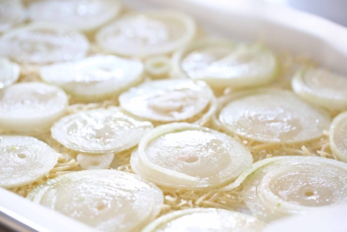 gluten free, low carb onion ring crisps recipe